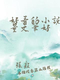 好看的小说高质量文笔好