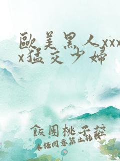 欧美黑人xxxx猛交少妇