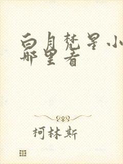 白月梵星小说在哪里看