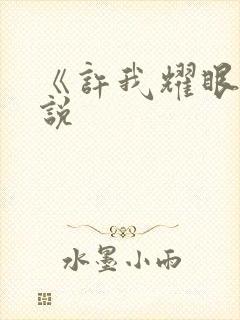 《许我耀眼》小说