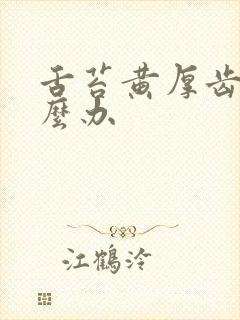 舌苔黄厚齿痕怎么办