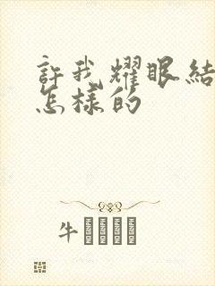 许我耀眼结局是怎样的