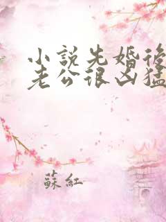 小说先婚后爱:老公很凶猛免费阅读