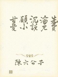 甘愿沉沦先婚后爱小说免费阅读