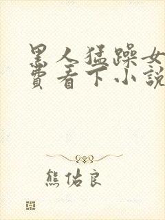 黑人猛躁女人免费看下小说