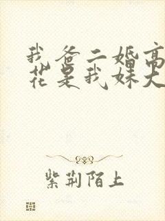 我爸二婚高冷校花是我妹大姐扮演者