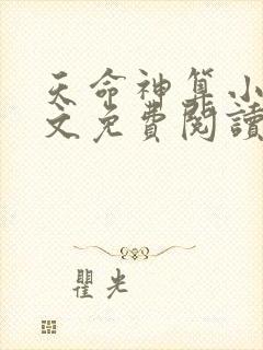 天命神算小说全文免费阅读txt完结版