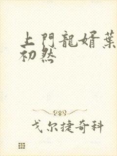 上门龙婿叶辰箫初然