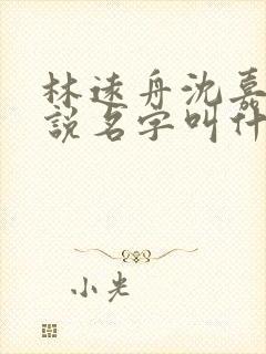 林远舟沈嘉禾小说名字叫什么