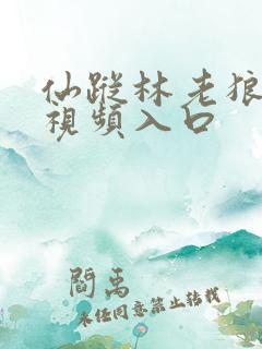 仙踪林老狼免费视频入口