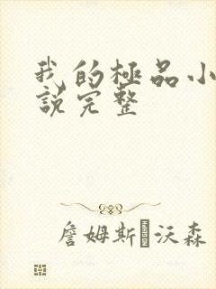 我的极品小姨小说完整