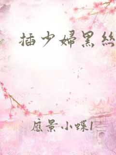 插少妇黑丝的逼