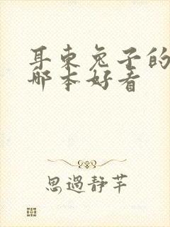 耳东兔子的小说哪本好看