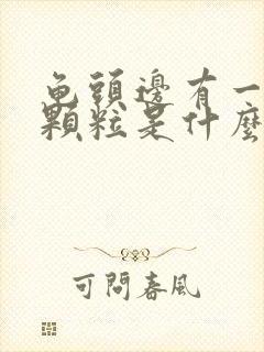 龟头边有一圈小颗粒是什么