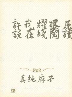 许我耀眼原著小说在线阅读