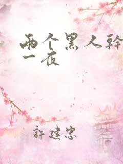 两个黑人干了我一夜