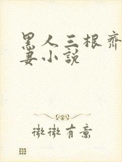 黑人三根齐进娇妻小说