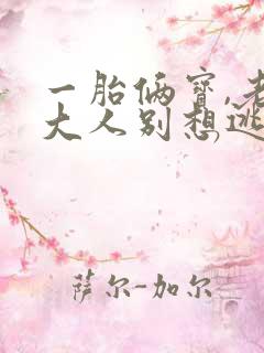 一胎俩宝,老婆大人别想逃小说