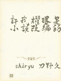 许我耀眼是什么小说改编的