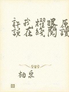 许我耀眼原著小说在线阅读