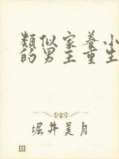 类似家养小首辅的男主重生文