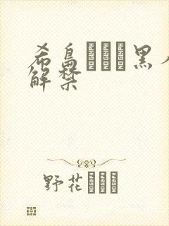 希岛あいり黑人解禁