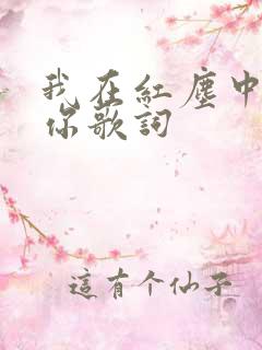 我在红尘中遇到你歌词