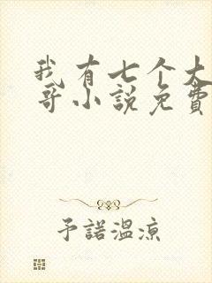 我有七个大佬哥哥小说免费阅读无弹窗