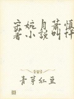 宋婉月萧慎行原著小说叫什