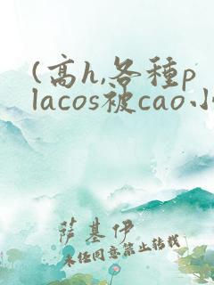 (高h,各种placos被cao小说