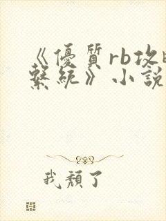 《优质rb攻略系统》小说