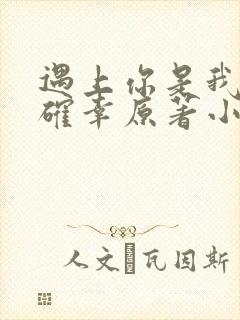 遇上你是我的小确幸原著小说