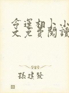 命运相卜小说全文免费阅读最新章节