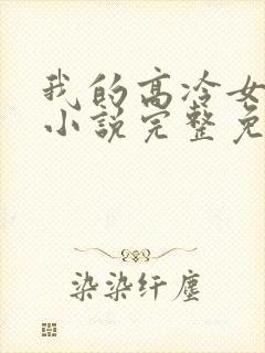 我的高冷女总裁小说完整免费