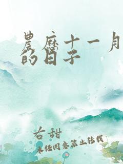 农历十一月最好的日子