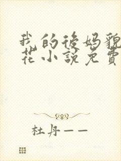 我的后妈貌美如花小说免费阅读全文无弹窗