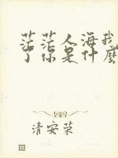 茫茫人海我遇见了你是什么歌名