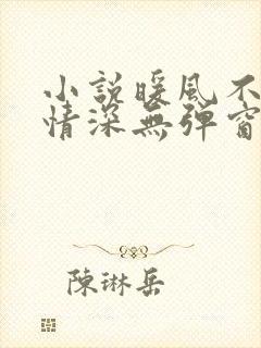 小说暖风不及你情深无弹窗