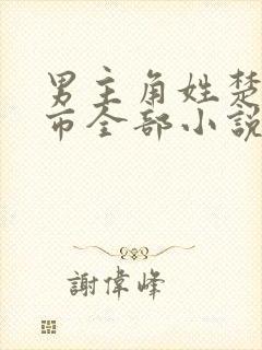 男主角姓楚的都市全部小说