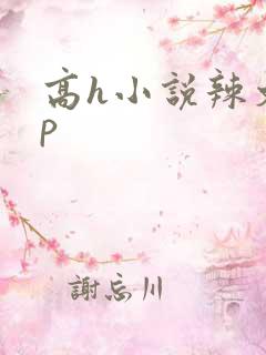 高h小说辣文np