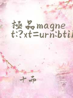 极品magnet:?xt=urn:btih