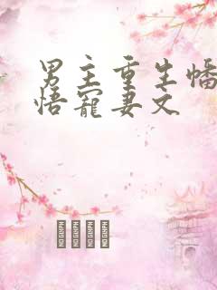 男主重生幡然醒悟宠妻文