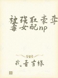 被强取豪夺的恶毒女配np