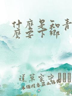 什么是知青为什么要下乡