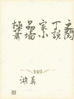 极品家丁之春起萧墙小说阅读