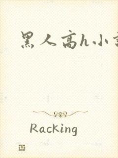 黑人高h小说
