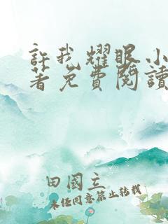 许我耀眼小说原著免费阅读