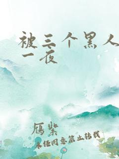 被三个黑人操了一夜