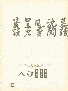 萧呈风沈慕卿小说免费阅读最新章节