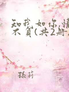 知我如你,情深不负(共2册) 叶落无心